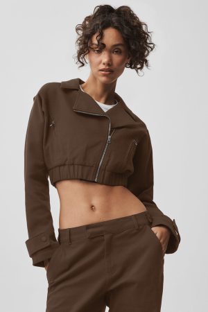 Cropped Cosmopolitan Jacket - Espresso